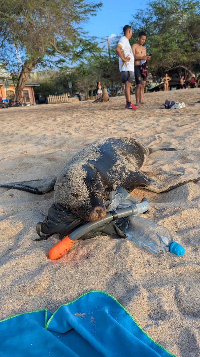 Galapagos Islands