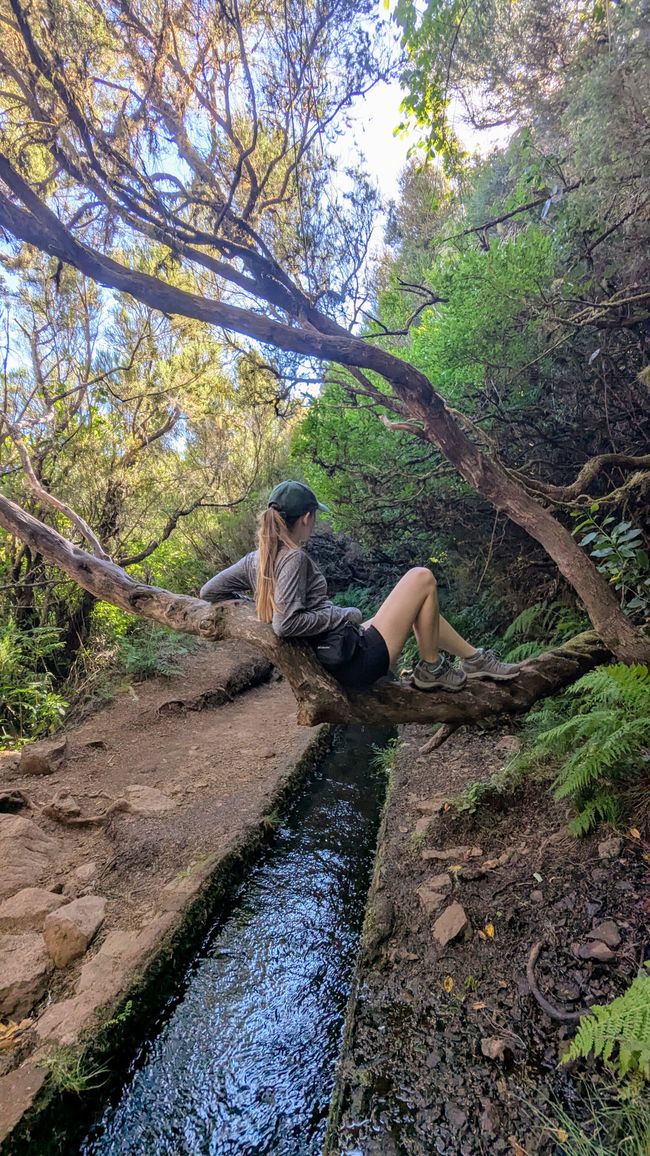 Tag 11: Levada do Alecrim und ein Open Air Festival