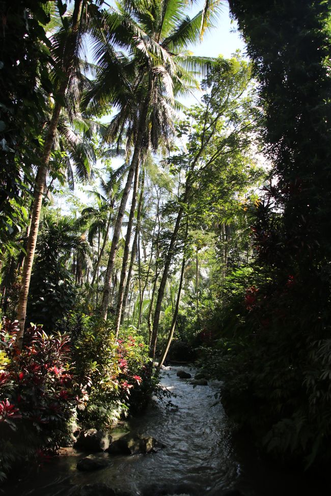 Etiqueta 9: De Java a Bali