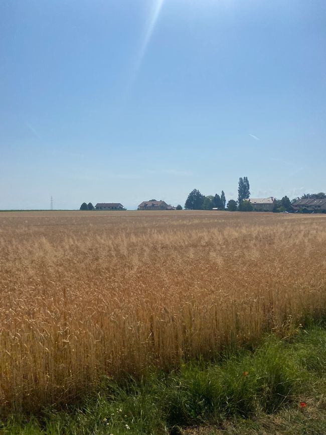 rolle - genf - vésenaz