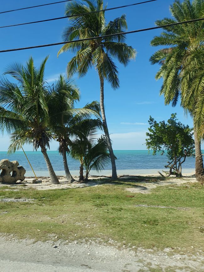 carKEYwest😍😎