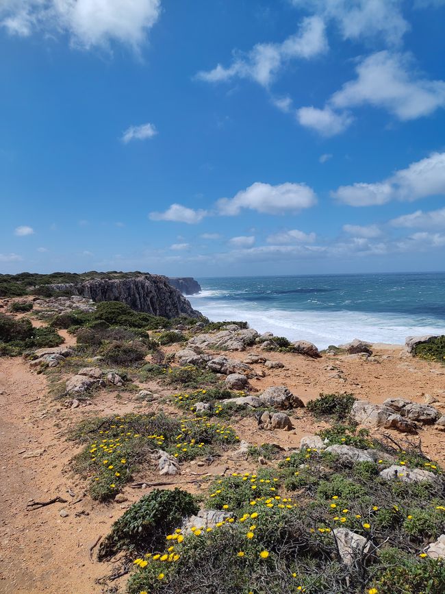 Sagres -> Vila do Bispo