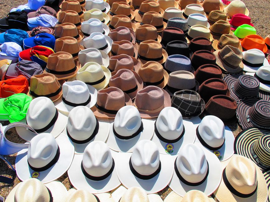 Sombreros de Panamá, naturalmente solo los de paja y con forma de fedora