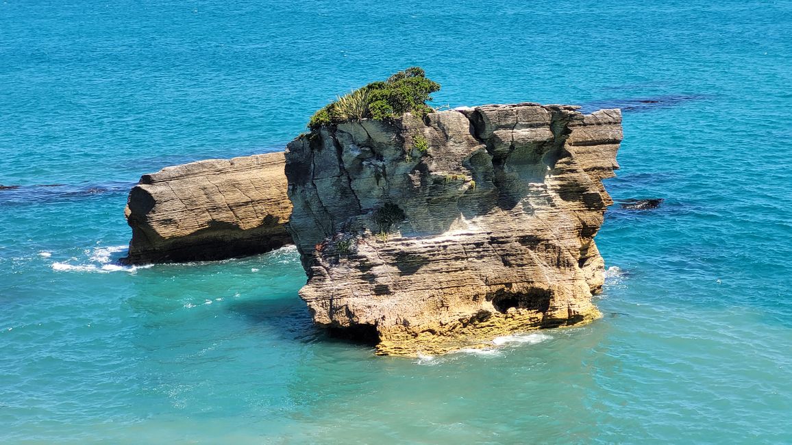 29.Januar-27.Februar 2025 Neuseeland
15.Januar