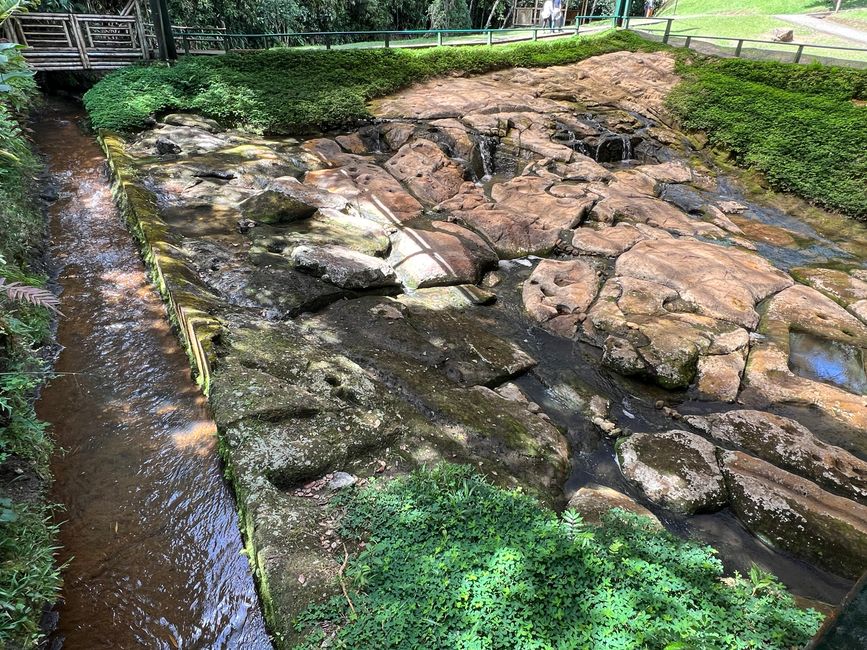 Étiquette 6/Lun, 2ème partie (Parc Archéologique de San Augustin)