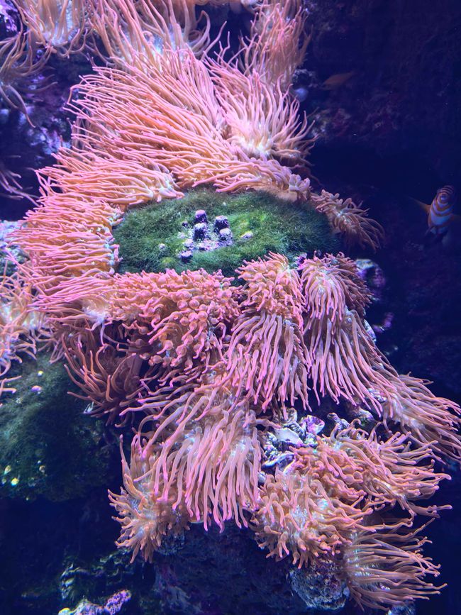 07.05.2026