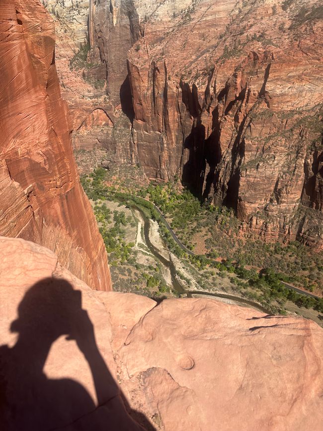 Oben auf Angels Landing 