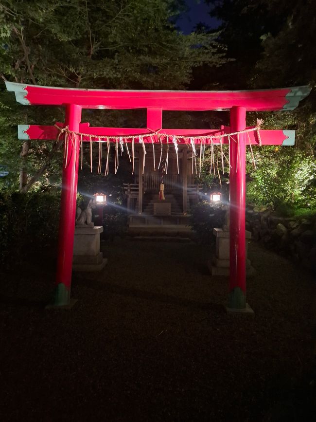 Beautiful Tokyo