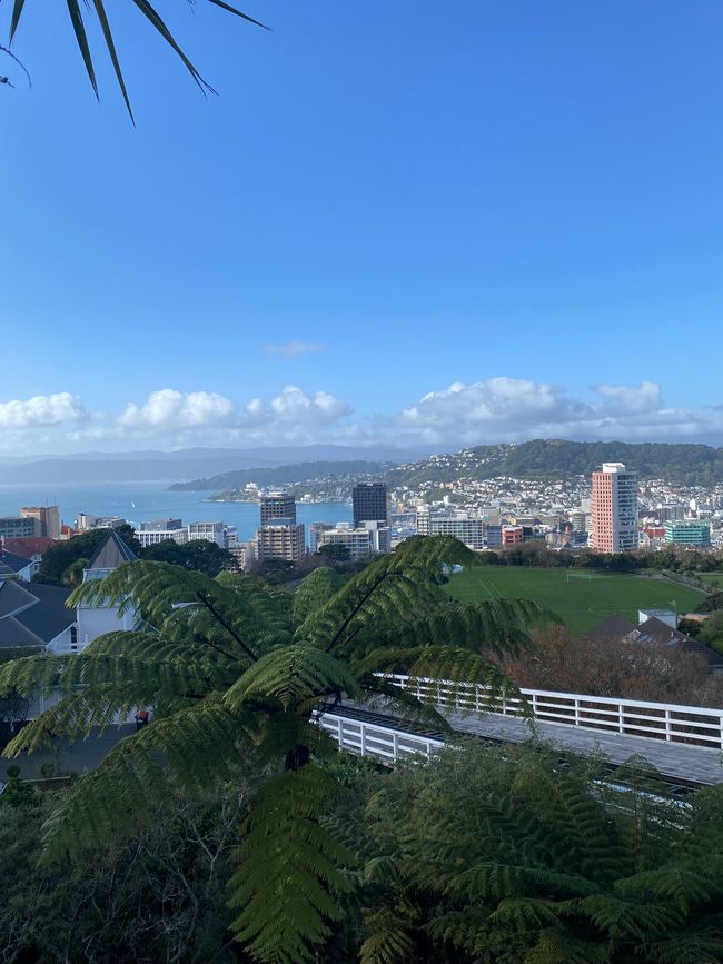 Wellington