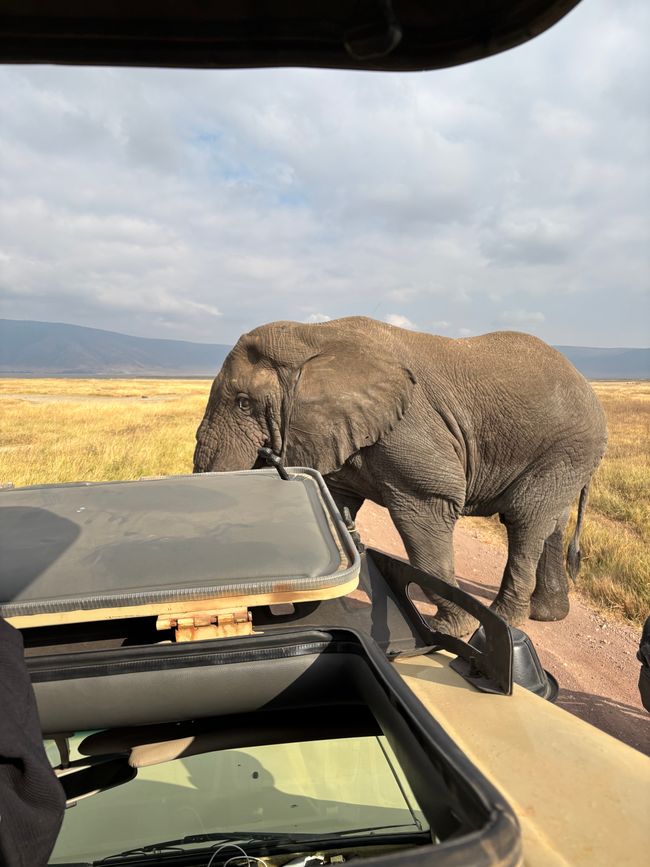 Ngorongoro-Krater