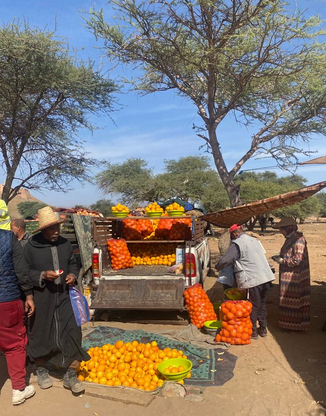 And again it's market day, this time in Agdz - from our impression, there is no shortage of food in Morocco