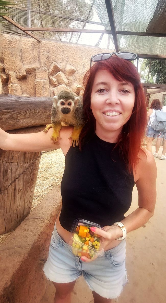 Monkey park