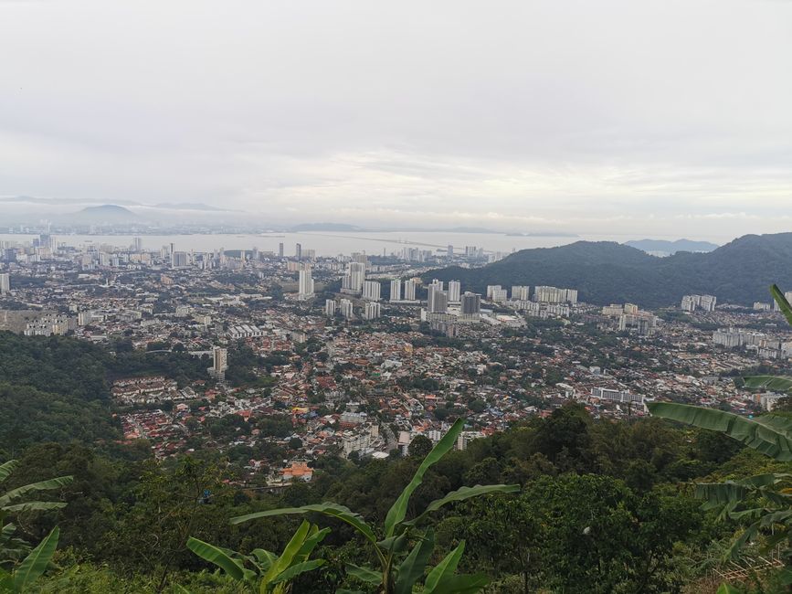 ... 随后却看到了美丽的风景 ...