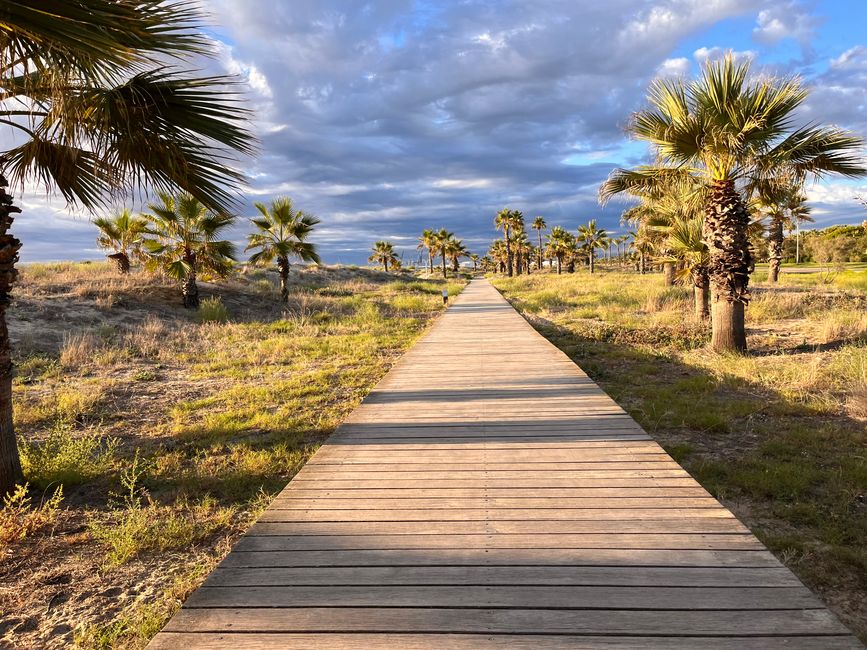 Detrás de la larga playa de Castello de la Plana se extiende un gran parque con bonitos senderos