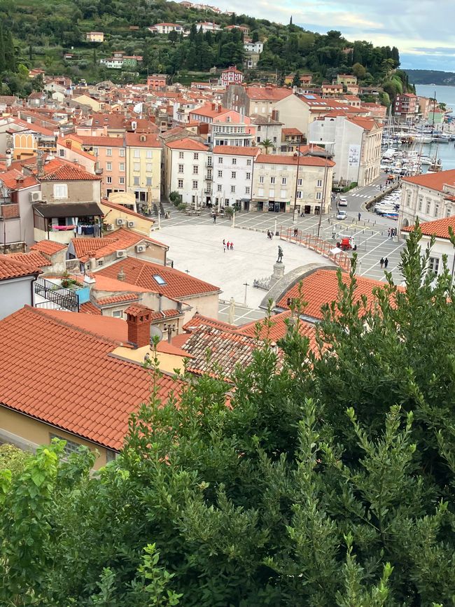 View of Tartini Square