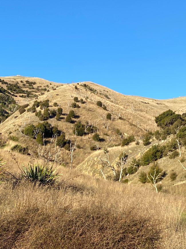 Nelson, Queen Charlotte drive, Picton, Kaikoura, Blenheim