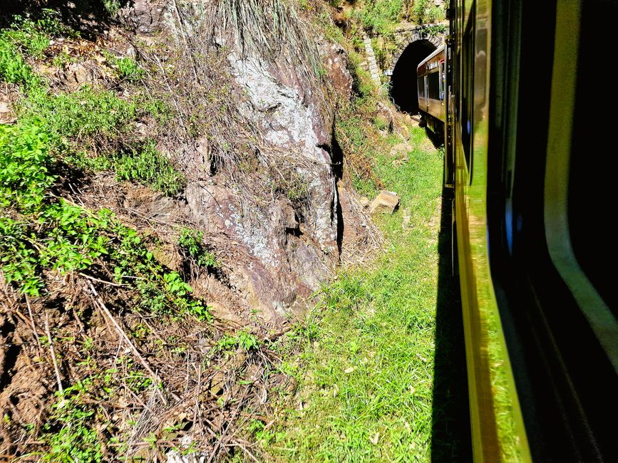 Train ride