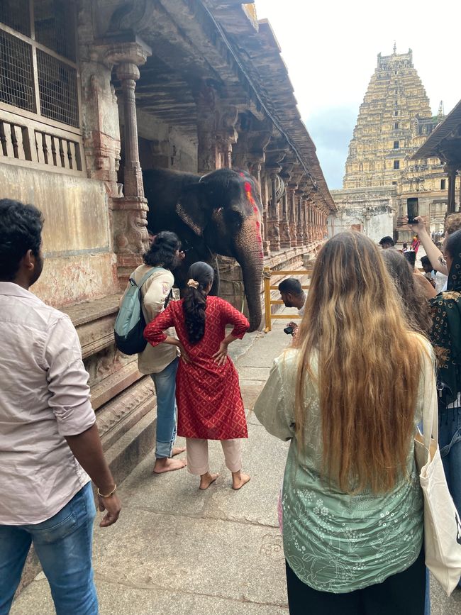 Viaje al sur de India Parte 1