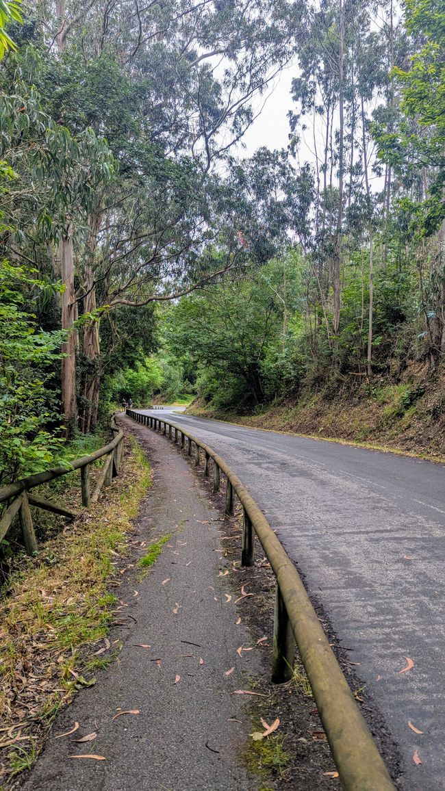 12. Etappe Camino del Norte von Pendueles nach Barro