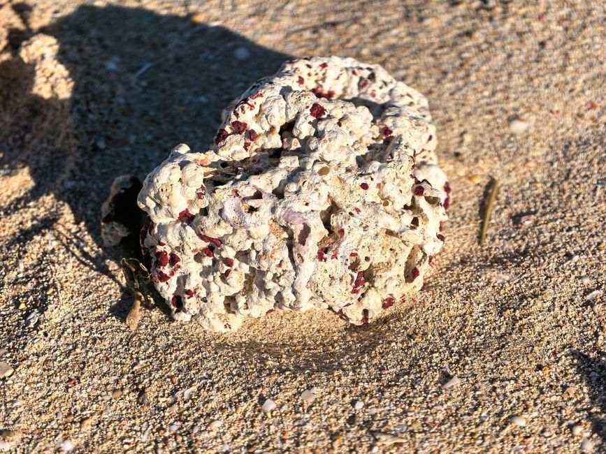 19.05.2026