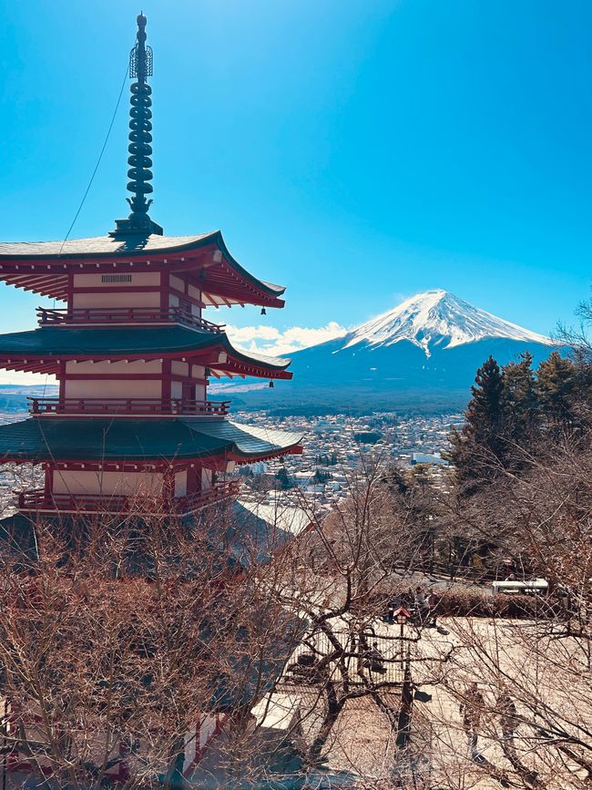 Fujikawaguchiko - Day 4-5