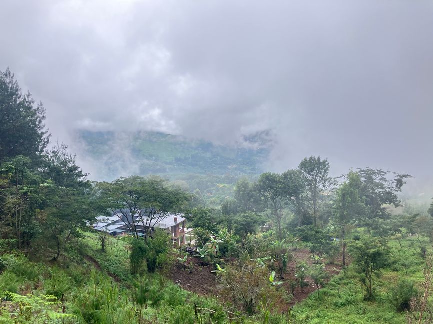 En las Montañas Usambara