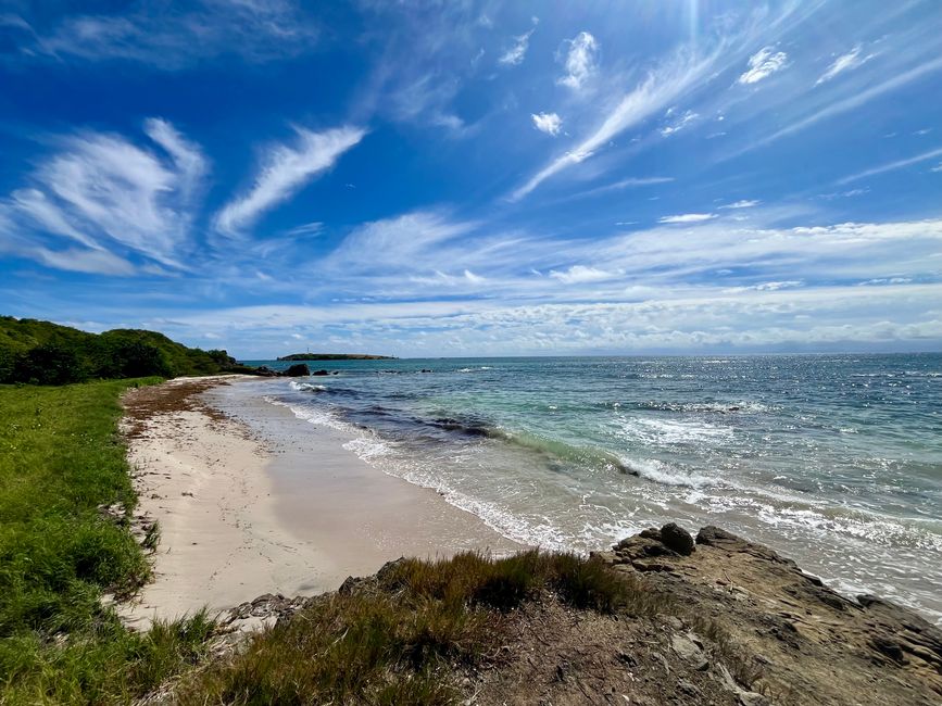 Tag 3 und 4 - Forte France - Sainte Anne - Plage des Salines - Observatorium des oiseaux
