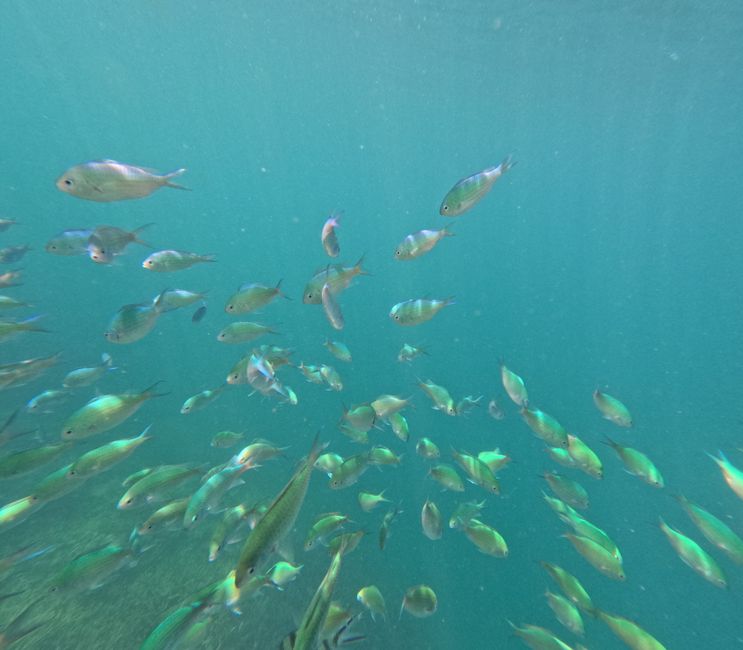 Etiqueta 17: Isla hopping frente a Lombok