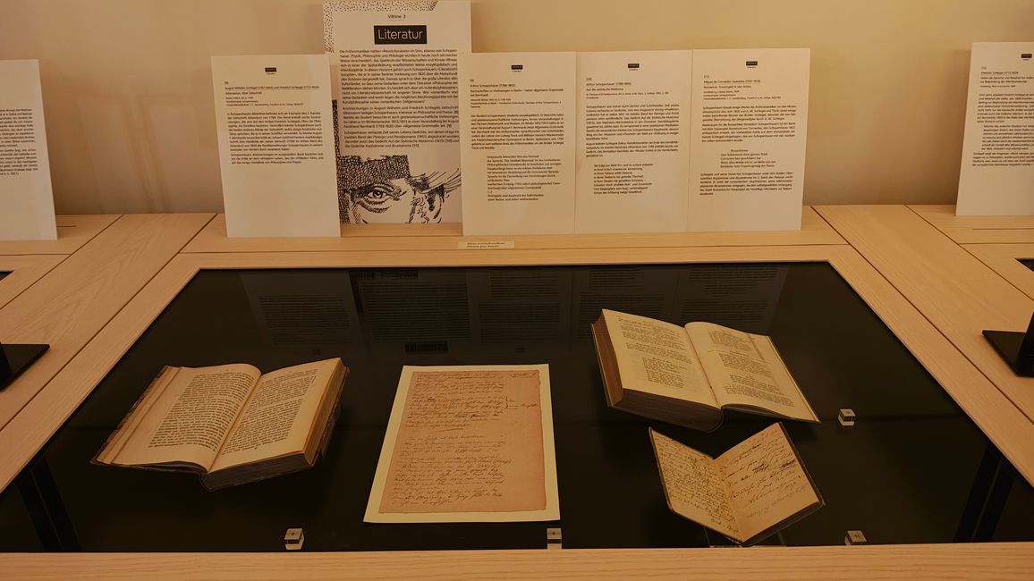 Mostra su Schopenhauer