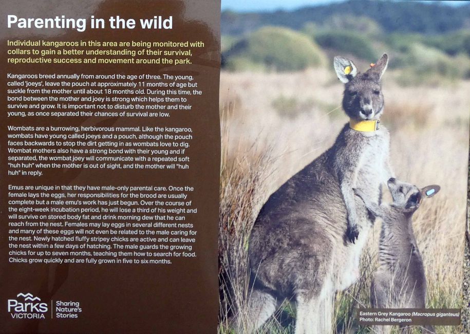 Melbourne - Wilsons-Promontory-Nationalpark