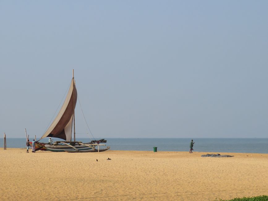 Sri Lanka Avventura in TukTuk!
