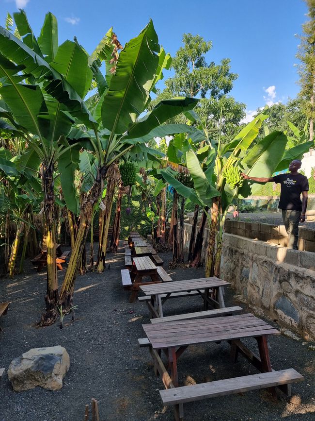 Tansania - Tag 7: Rückreise nach Arusha