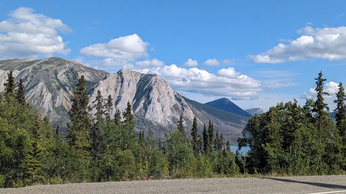 Day 21: Around Whitehorse: Husky Puppies, Emerald Lake & the smallest desert in the world