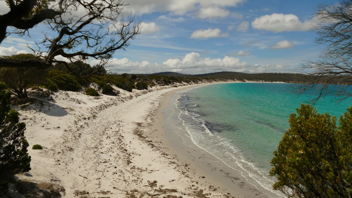 - Singapur & Tasmania 2019 -