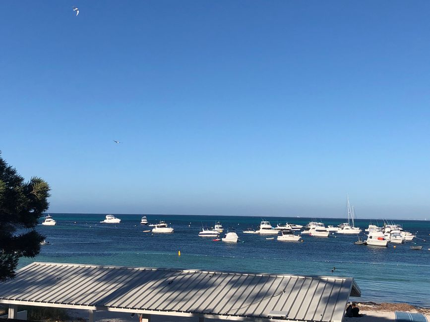 Geordi Bay