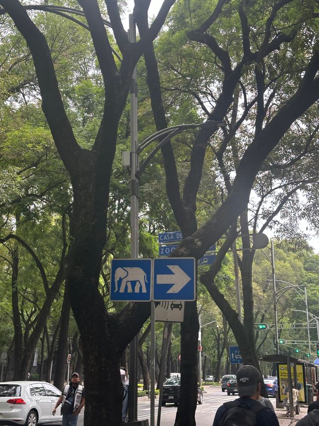 Chapultepec - la primera excursión
