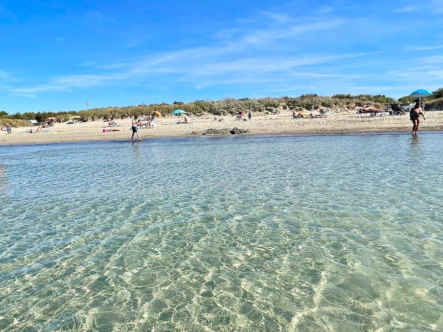 Icke traute sich am letzten Tag ins Wasser und schoss ein Foto vom Strand.