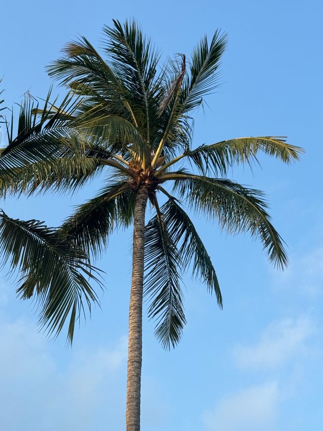 KoSamui
