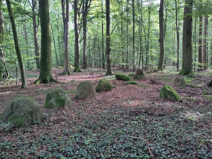 Hünengräber im Schieringer Forst