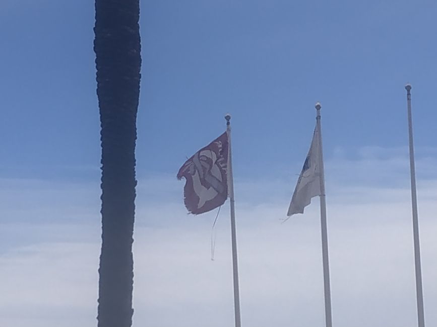 Photos of Torrenostra (Torreblanca, Castellón) (Holy Week 2024)