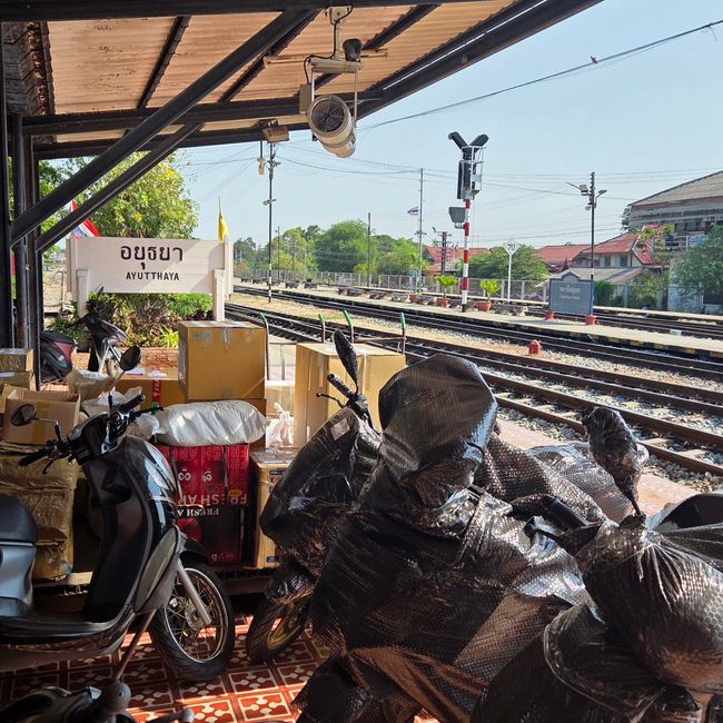 Ayutthaya Bellezza del Vecchio Siam