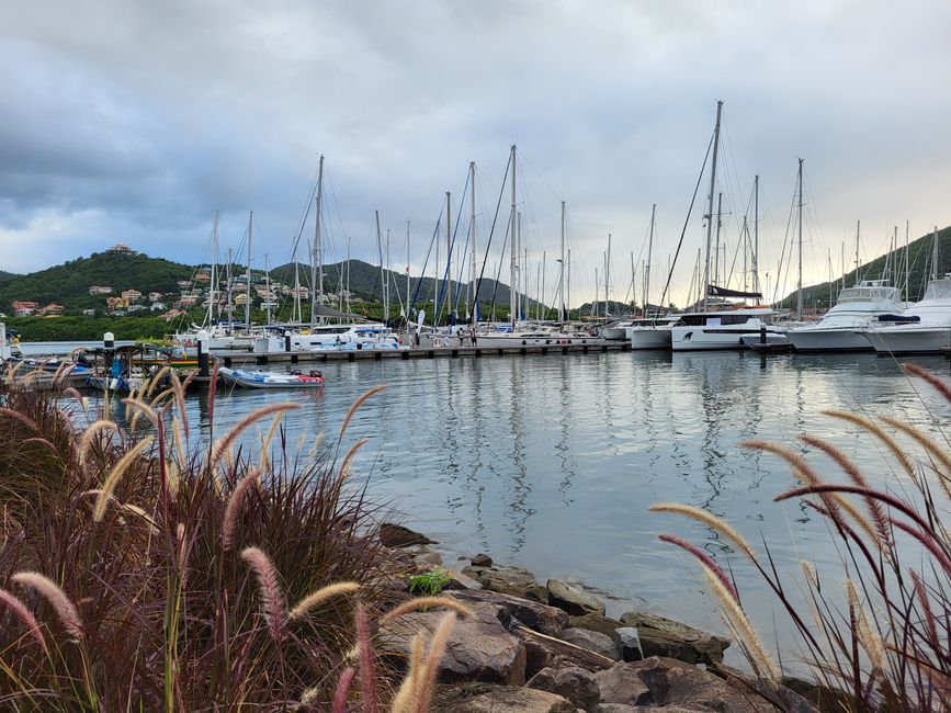 Rodney Bay