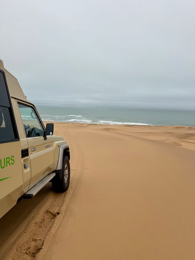 Namibia 2k25 🦓🏜️🐘