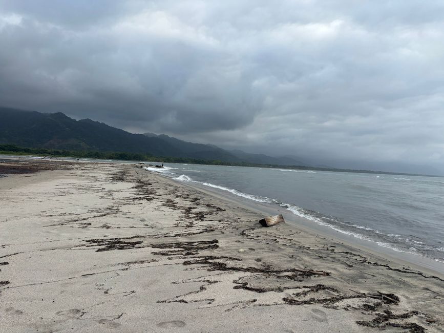 Settimana 16: Santa Marta