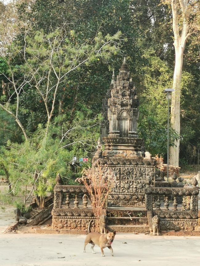 Auf Tempeltour in Siem Reap (Reload)