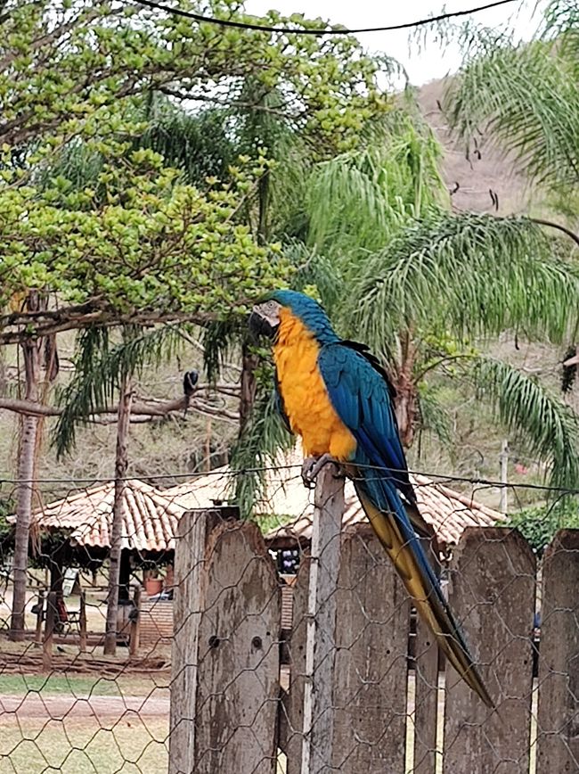 Refugio Canaa Brasil