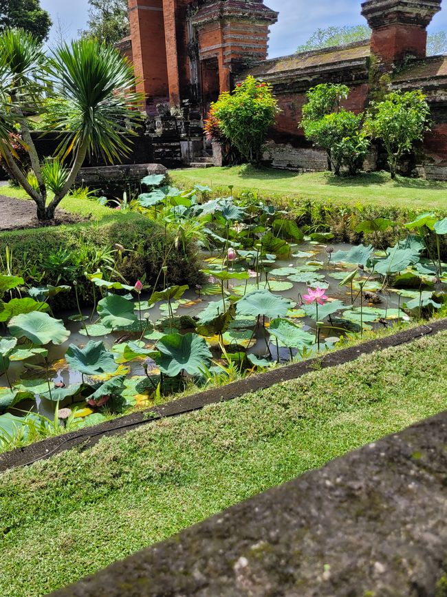 Tag 111/112 und 113 von 175: Kreuzfahrt rund um die Welt - Benoa/Bali und Seetag