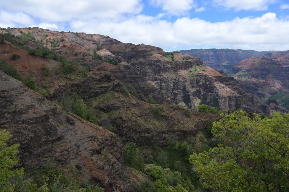 Canyon de Waimea