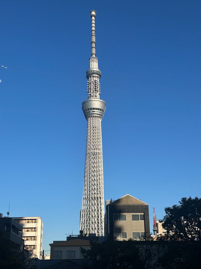 Cesta do Japón
