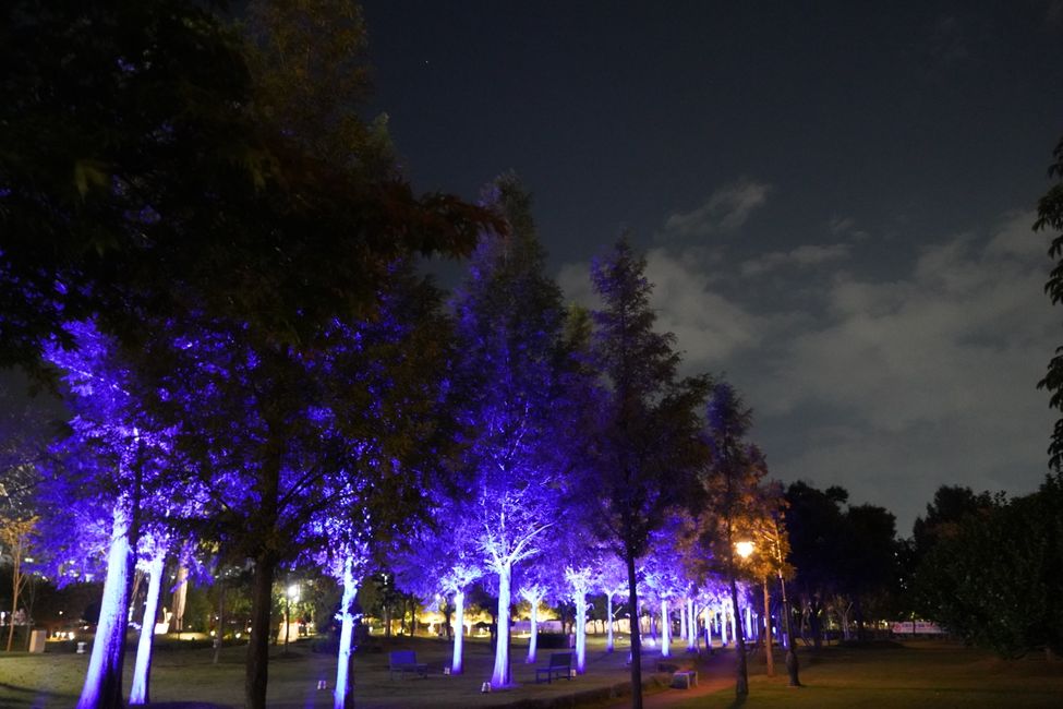 Jardín de luz